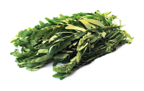 Akakththi leaves