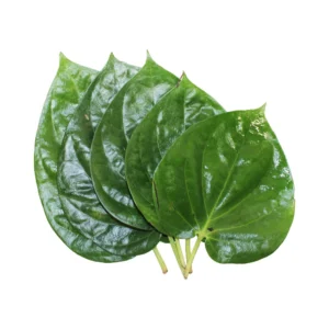 Betel leaves 5 stuk