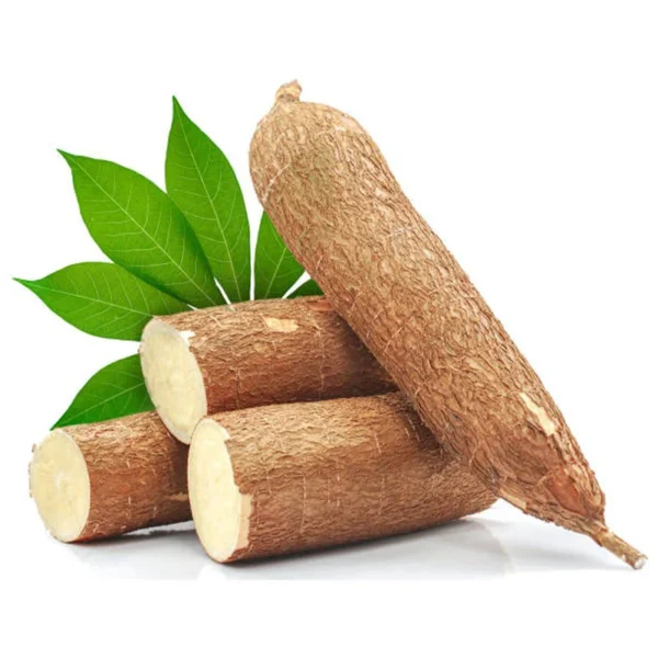 Cassava (Tapioca)