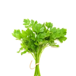 Coriander leaves 1 stuk