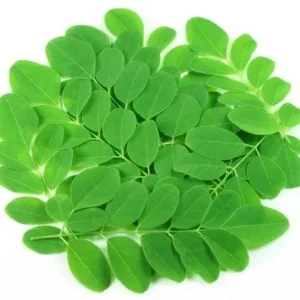 Drumstick leaves