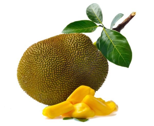 Jackfruit 1kg