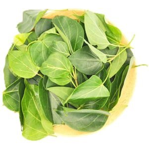 Kurinnja leaves