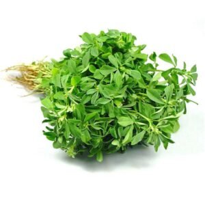 Methi Leaves 1 stuk