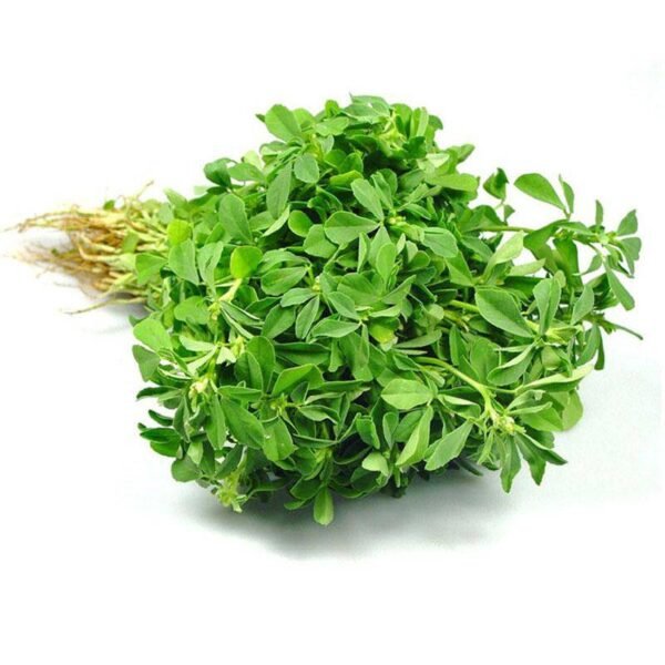 Methi Leaves 1 stuk