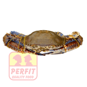 Perfit Crab West Africa 2 kg