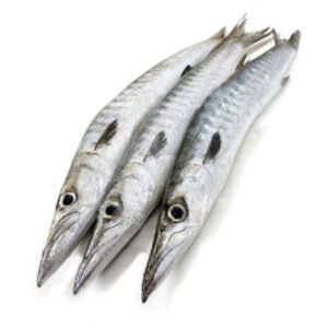 Seela Fish (6.50 kg)